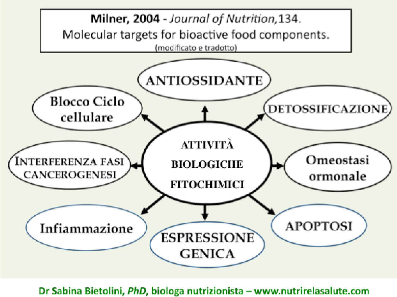 eubiosi