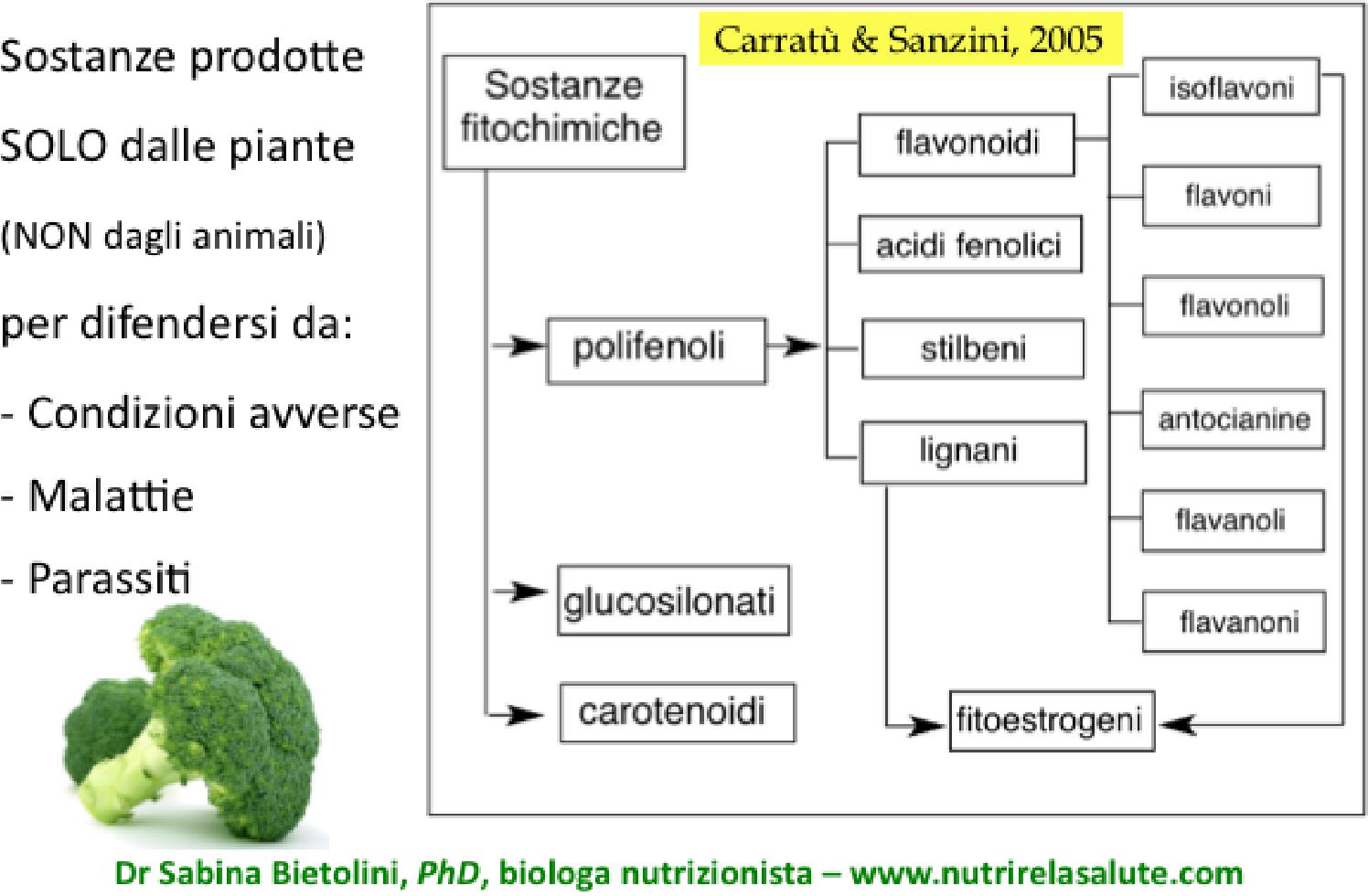 fitochimici alimenti